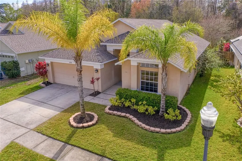 14338 Moon Flower Drive Tampa FL 33626