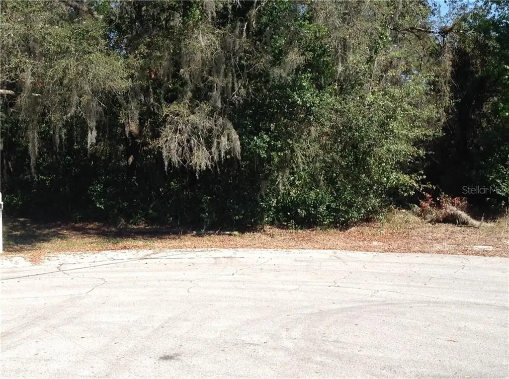 1321 Sonnet Court Deltona FL 32738