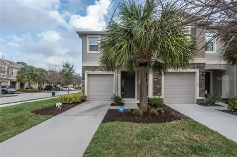10406 Orchid Mist Court Riverview FL 33578