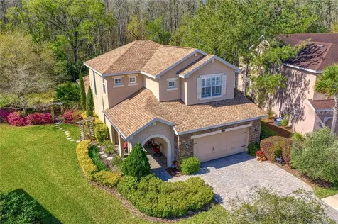 16022 Bella Woods Drive Tampa FL 33647