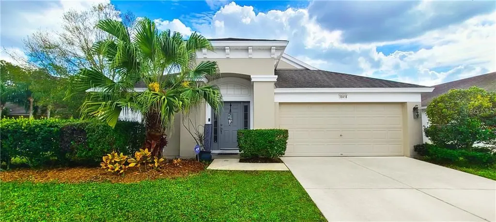 30418 Arrochar Street Wesley Chapel FL 33545