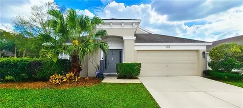30418 Arrochar Street Wesley Chapel FL 33545