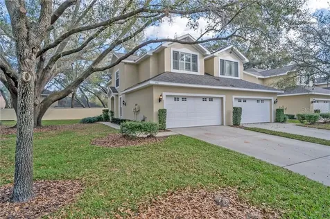 6401 Spring Oak Court Tampa FL 33625