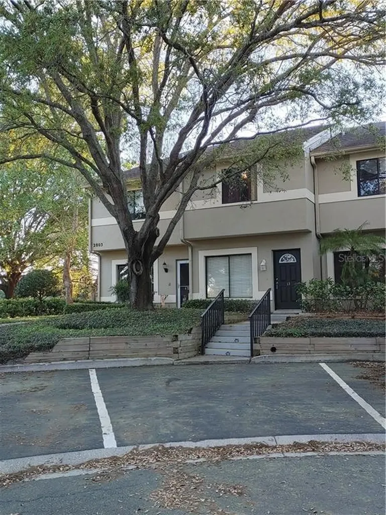 2803 Thaxton Drive Palm Harbor FL 34684