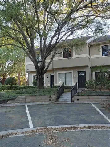2803 Thaxton Drive Palm Harbor FL 34684