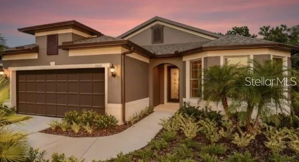 19234 Mossy Pine Drive Tampa FL 33647