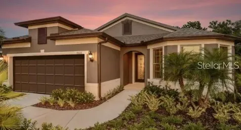 19234 Mossy Pine Drive Tampa FL 33647