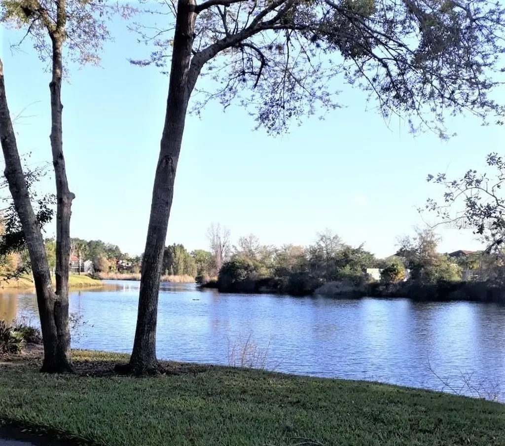 21203 Calle Rosa Drive Land O Lakes FL 34637