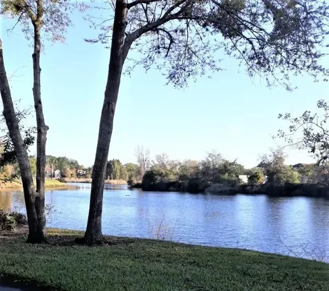21203 Calle Rosa Drive Land O Lakes FL 34637