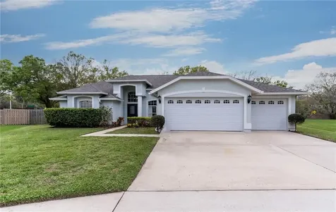 28306 Glade Fern Court Wesley Chapel FL 33543