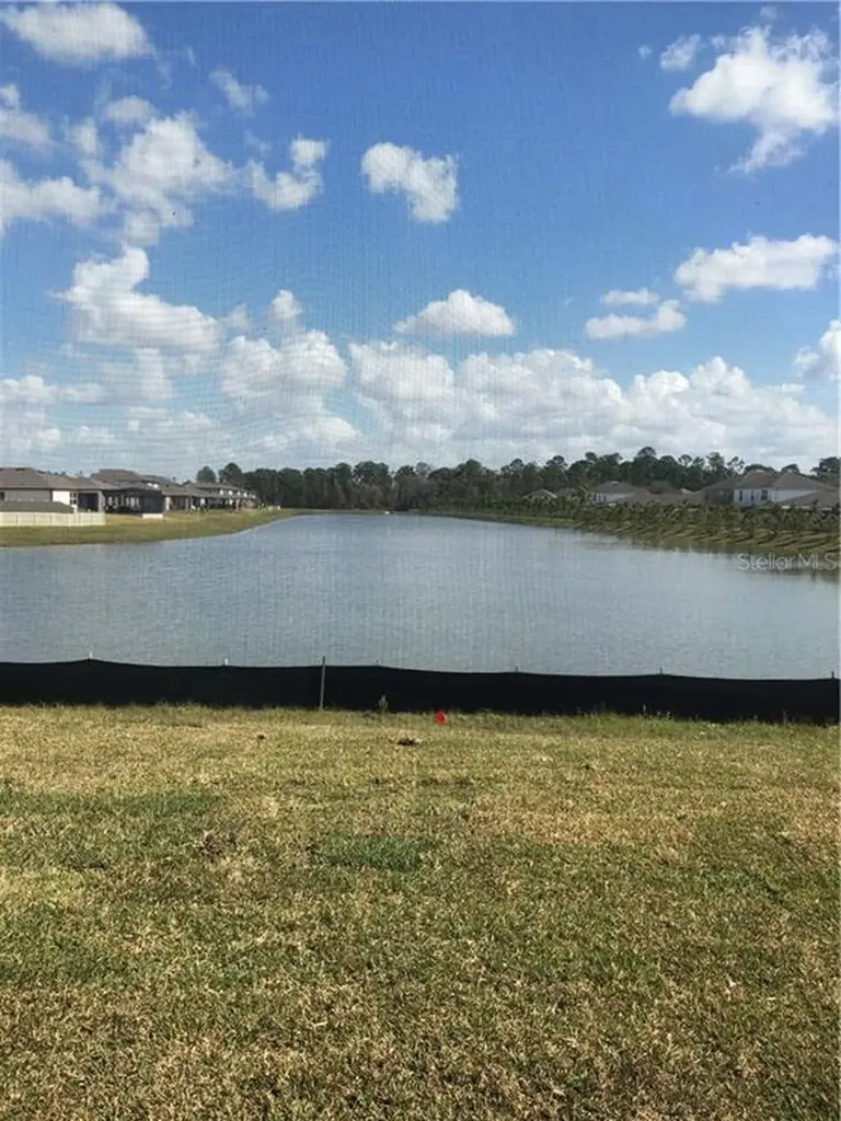 30220 Skylark Drive Wesley Chapel FL 33545