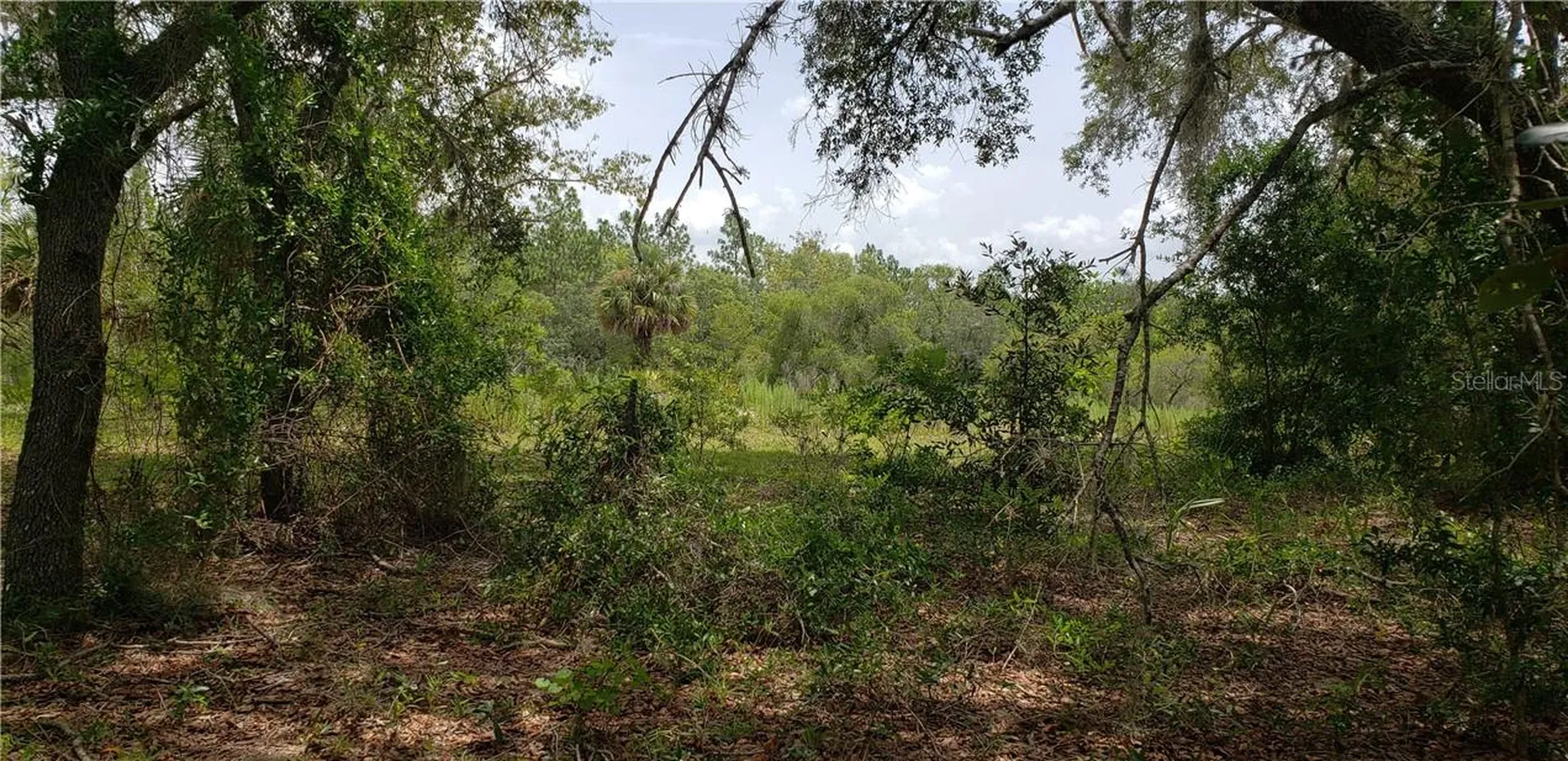 Lot 11 NE Alt Highway 27 Williston FL 32696
