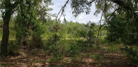 Lot 11 NE Alt Highway 27 Williston FL 32696