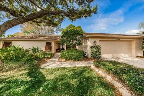 13808 Lake Village Place Tampa FL 33618