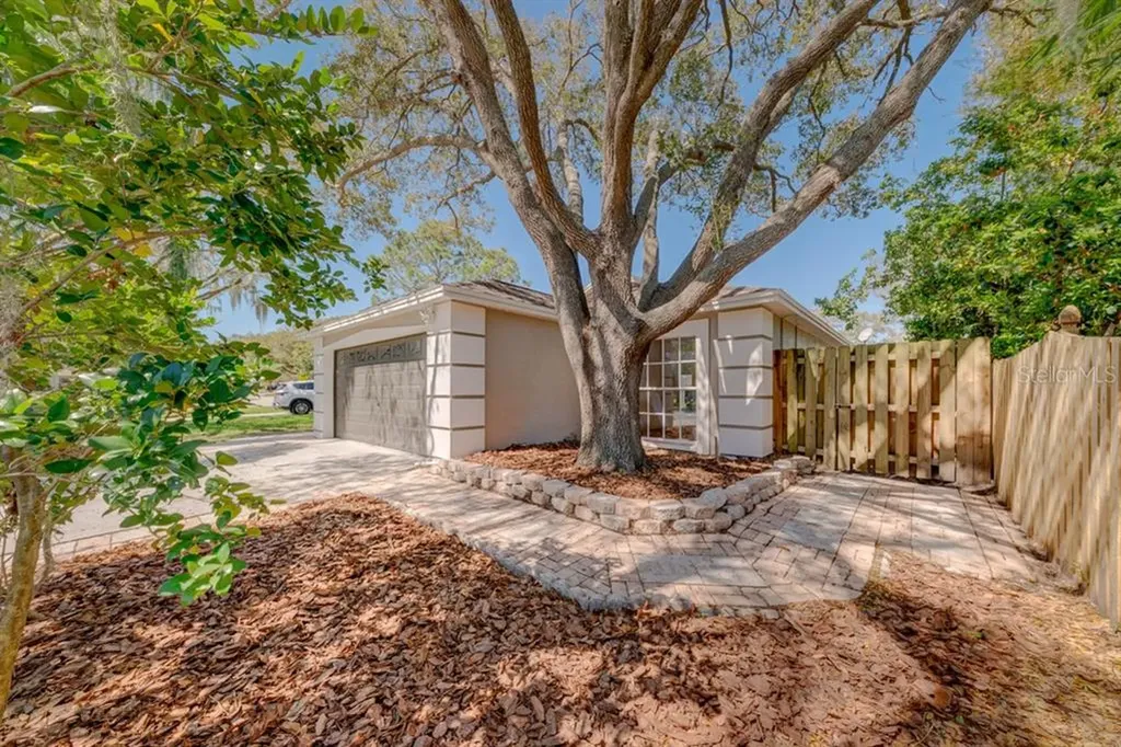 3745 Fremantle Drive Palm Harbor FL 34684