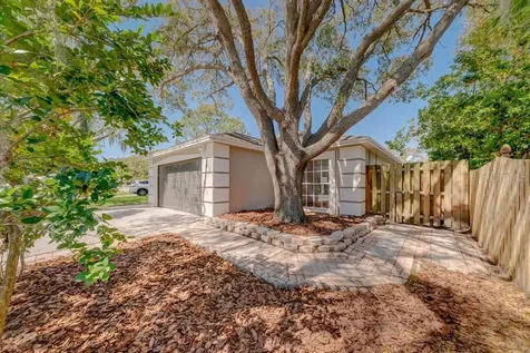 3745 Fremantle Drive Palm Harbor FL 34684