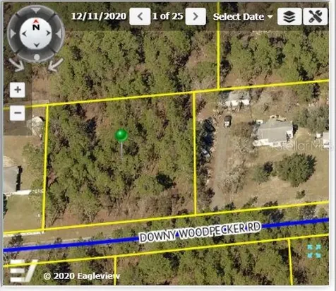 13251 Downy Woodpecker Road Weeki Wachee FL 34614