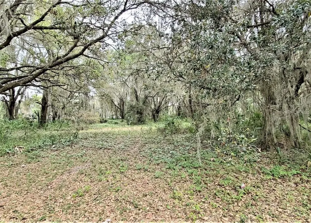 35110 North Treasure Island Avenue Leesburg FL 34788