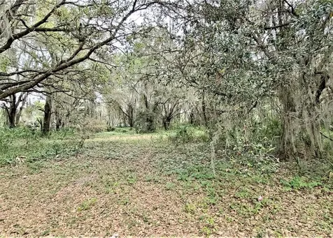 35110 North Treasure Island Avenue Leesburg FL 34788