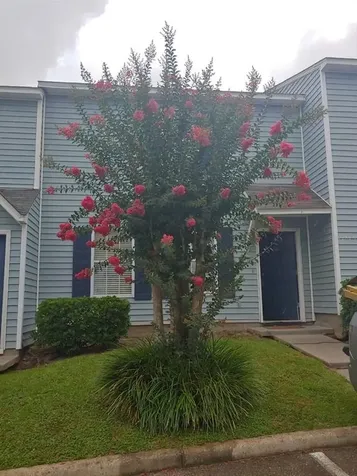 2221 Timberwood Circle S Tallahassee FL 32304
