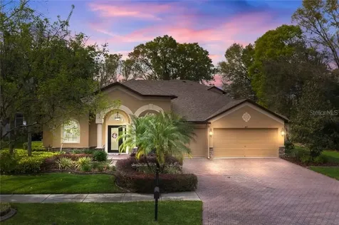 4815 Patagonia Place Land O Lakes FL 34638