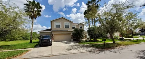 6206 Bridgevista Drive Lithia FL 33547