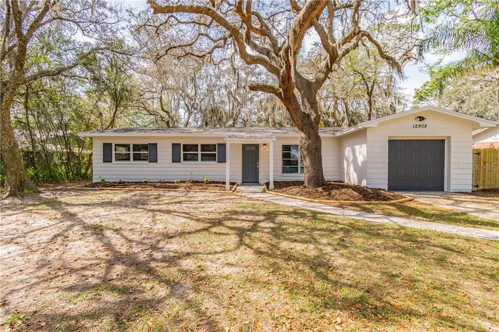 12908 N Rome Avenue Tampa FL 33612