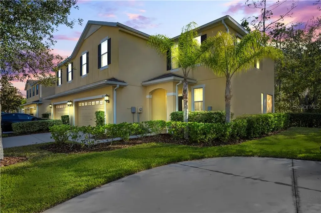 20513 Grand Vista Lane Tampa FL 33647