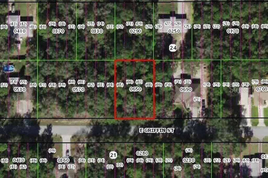 3251 E Griffin Street Inverness FL 34453