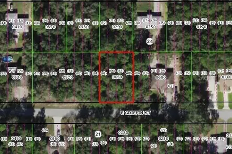 3251 E Griffin Street Inverness FL 34453