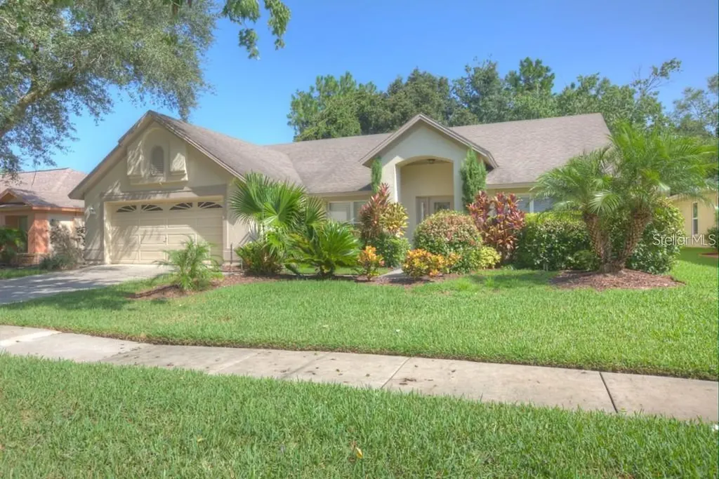 9224 Dayflower Drive Tampa FL 33647