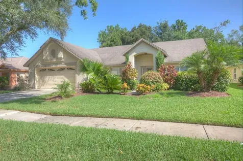 9224 Dayflower Drive Tampa FL 33647