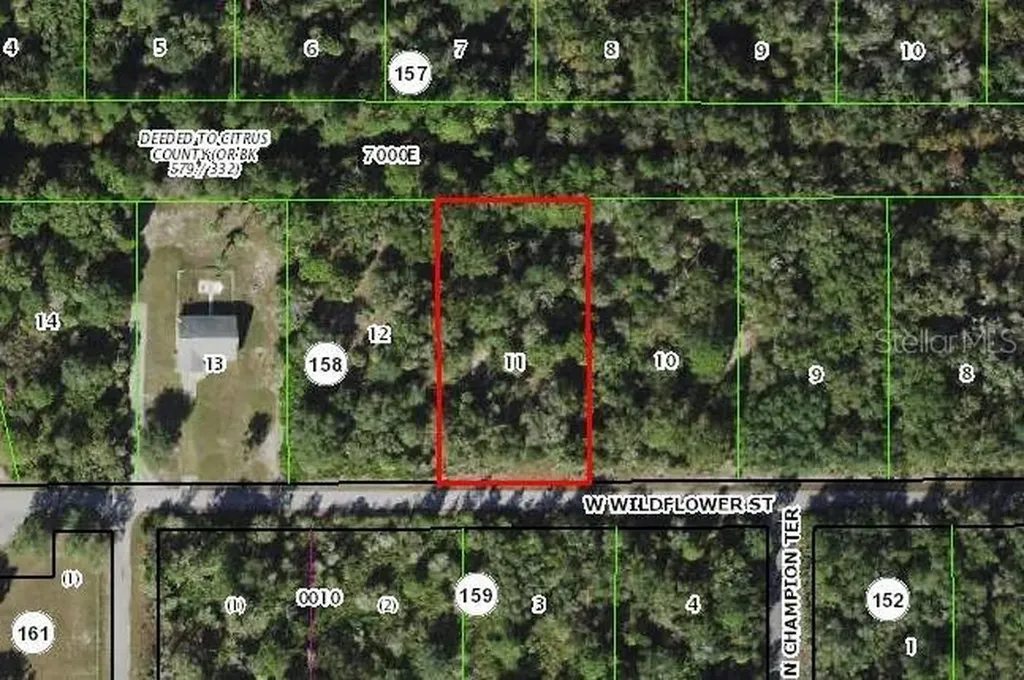 12077 W Wildflower Street Crystal River FL 34428