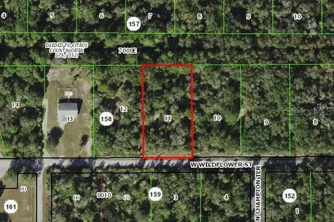 12077 W Wildflower Street Crystal River FL 34428