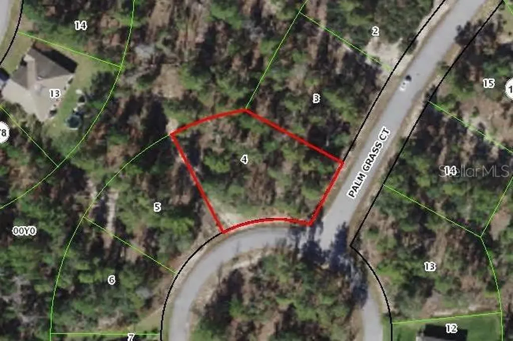 8 Palm Grass Court Homosassa FL 34446