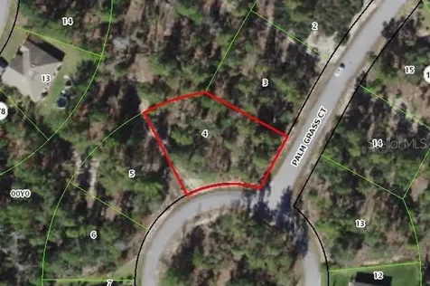 8 Palm Grass Court Homosassa FL 34446
