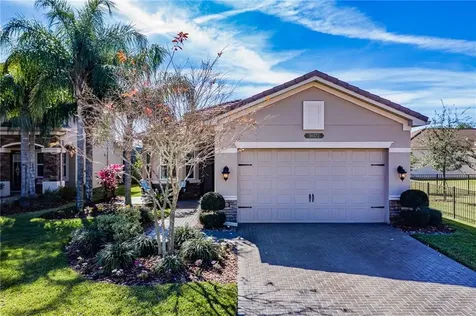 30372 Palmer Oak Drive Wesley Chapel FL 33543