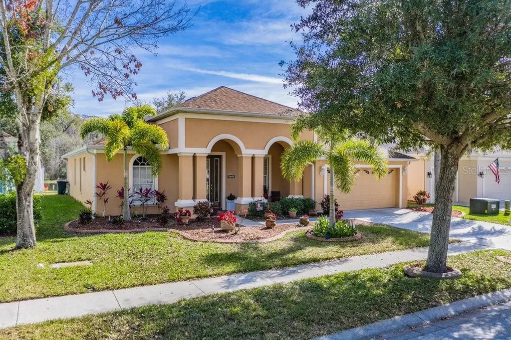 10536 Sky Flower Court Land O Lakes FL 34638