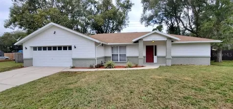 22247 Laver Lane Land O Lakes FL 34639