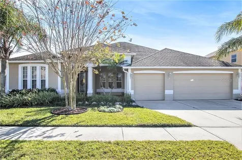 26910 Shoregrass Drive Wesley Chapel FL 33544