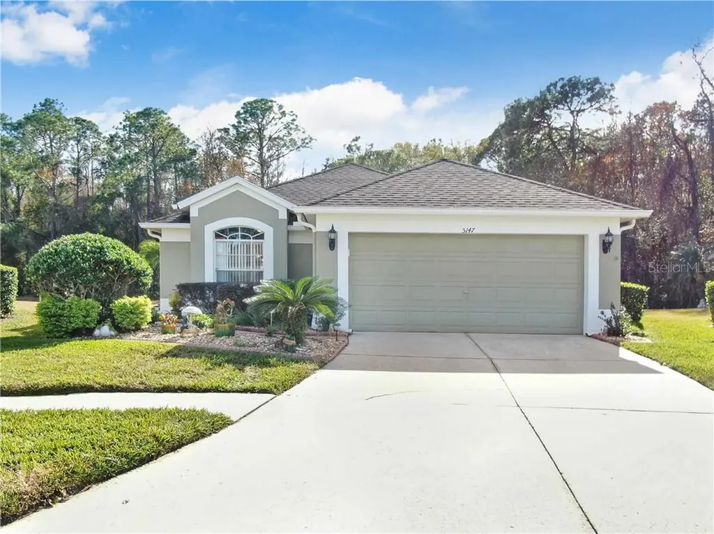 5147 Gato Del Sol Circle Wesley Chapel FL 33544