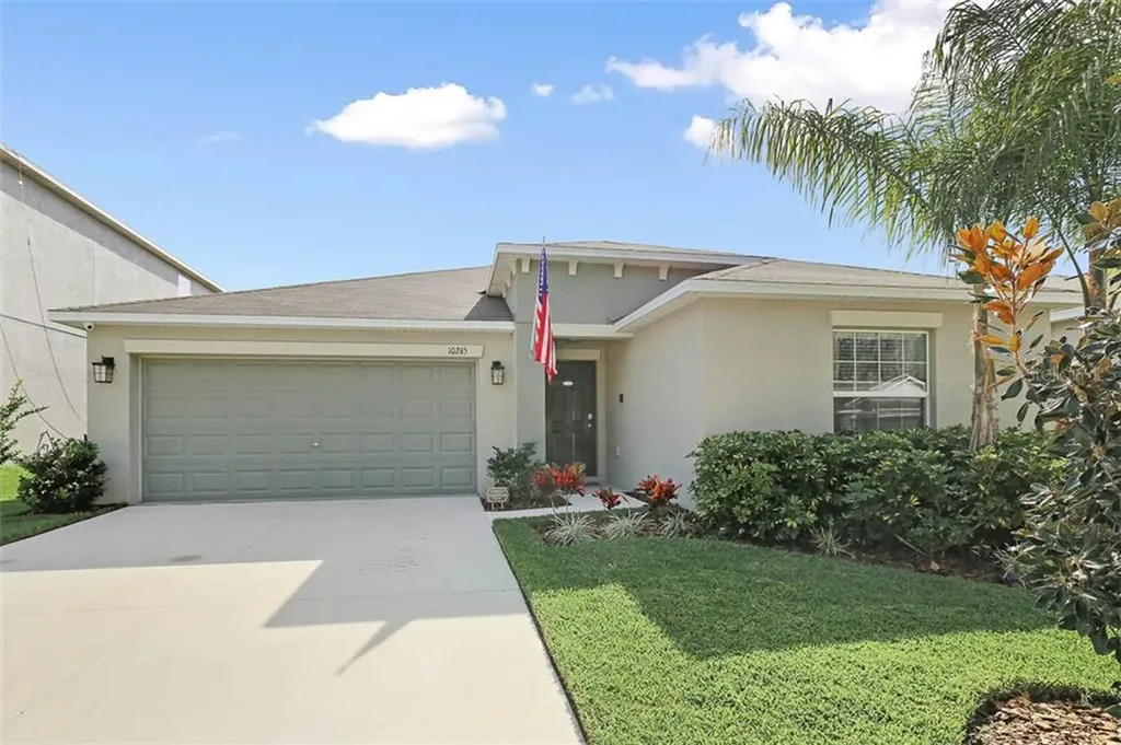 10245 Strawberry Tetra Drive Riverview FL 33578