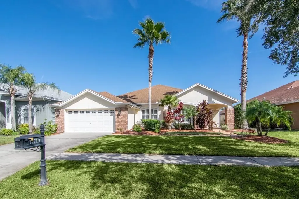 10710 Tavistock Drive Tampa FL 33626