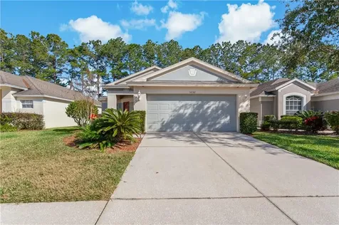 5232 Gato Del Sol Circle Wesley Chapel FL 33544