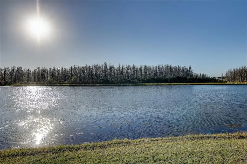 19312 Haskell Place Land O Lakes FL 34638