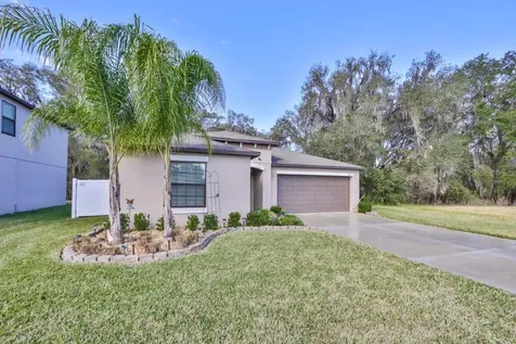 3123 Moulden Hollow Drive Zephyrhills FL 33540