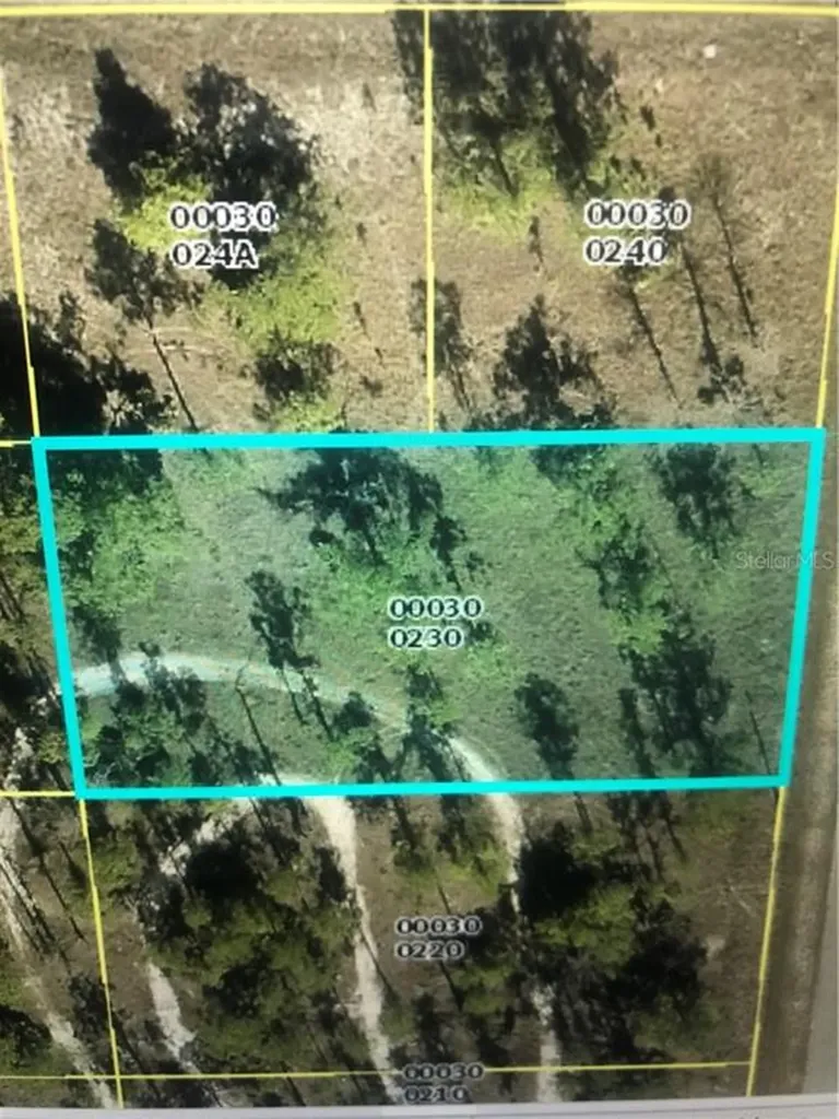 1021 Louis Avenue Lehigh Acres FL 33972
