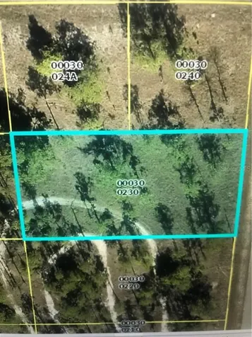 1021 Louis Avenue Lehigh Acres FL 33972
