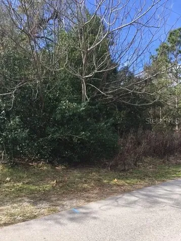 14080 Amero Lane Spring Hill FL 34609