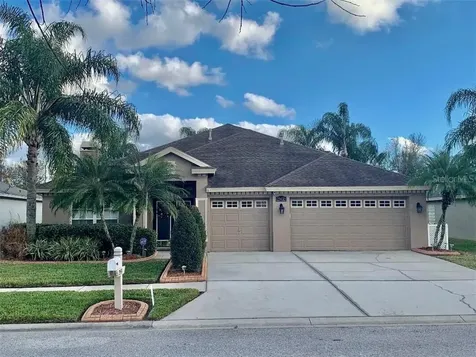 29439 Allegro Drive Wesley Chapel FL 33543
